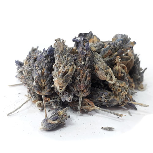 اسطوخودوس 